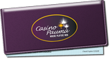 Casino Checkbook